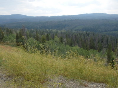 GDMBR: A view of the Blackrock River Valley as we climbed up toward Togwotee Pass.